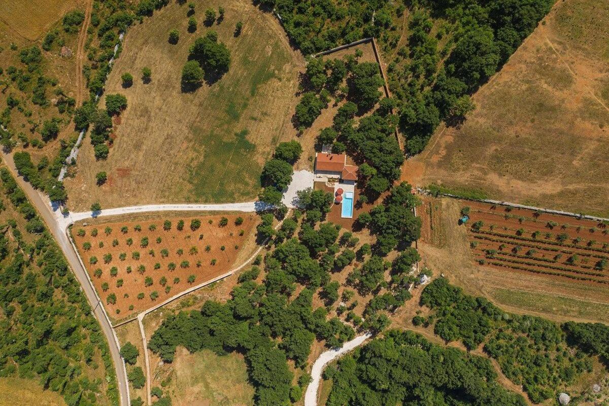 Villa Martinetinka Vodnjan Exteriör bild