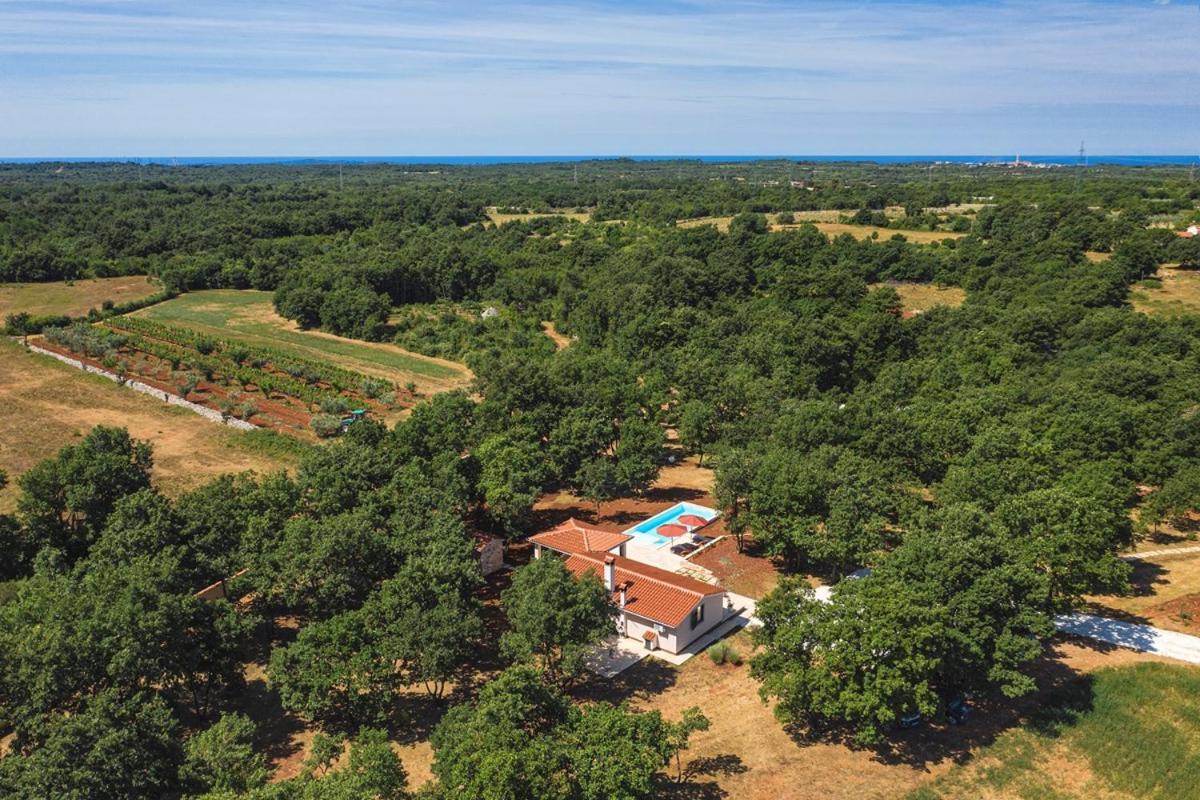 Villa Martinetinka Vodnjan Exteriör bild