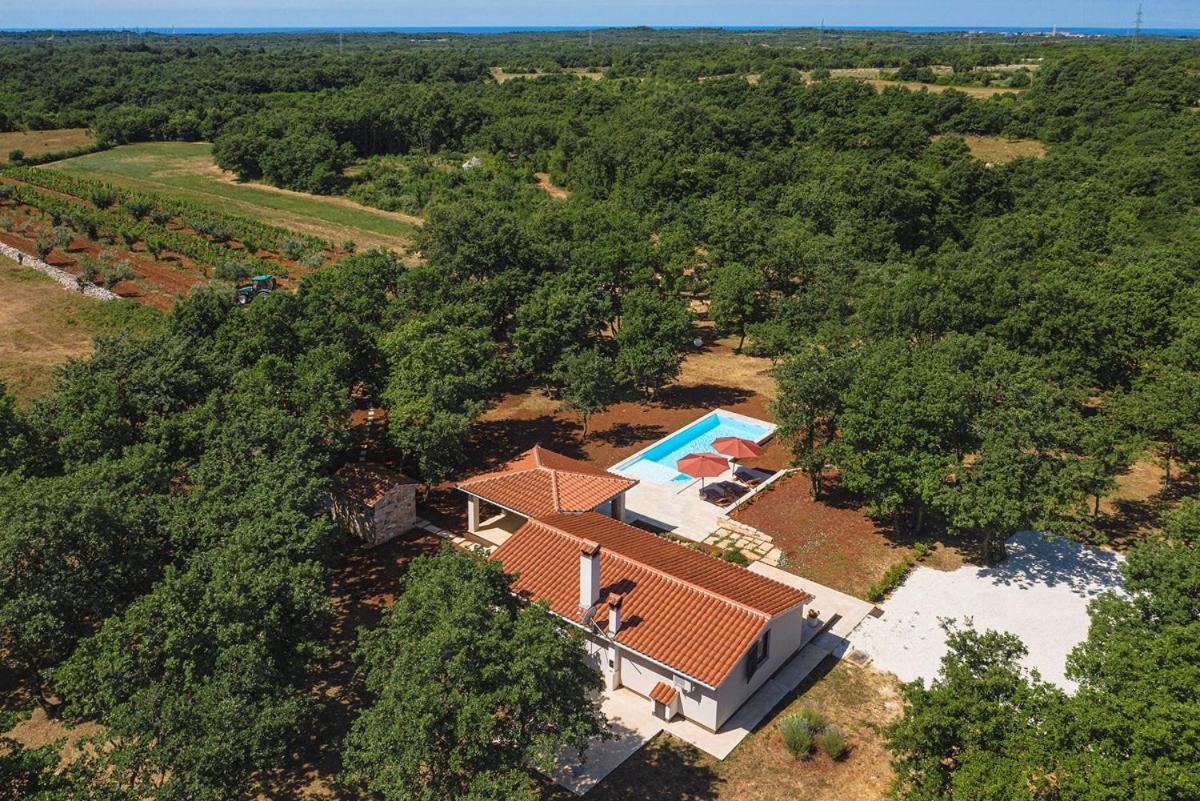 Villa Martinetinka Vodnjan Exteriör bild